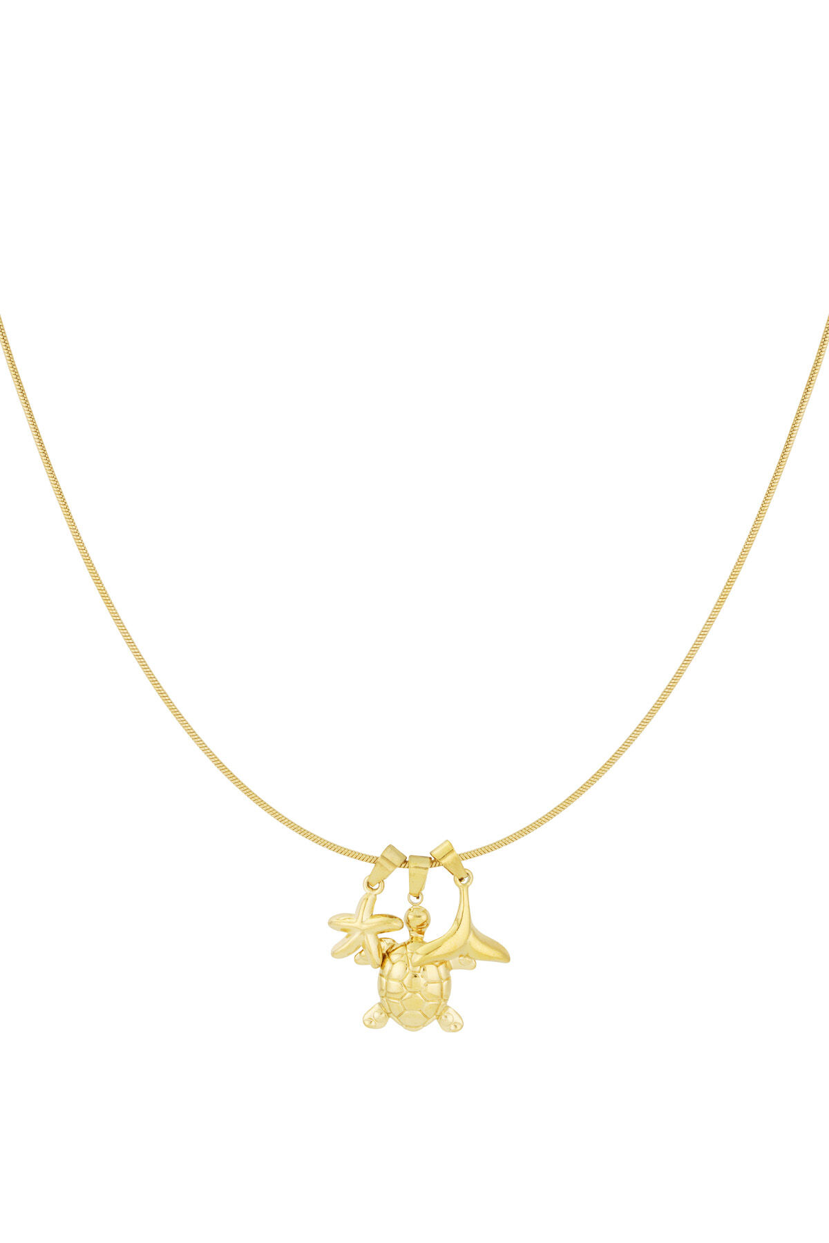 Gold Color 