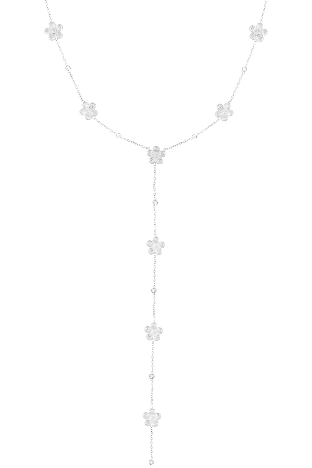 couleur argent Image2