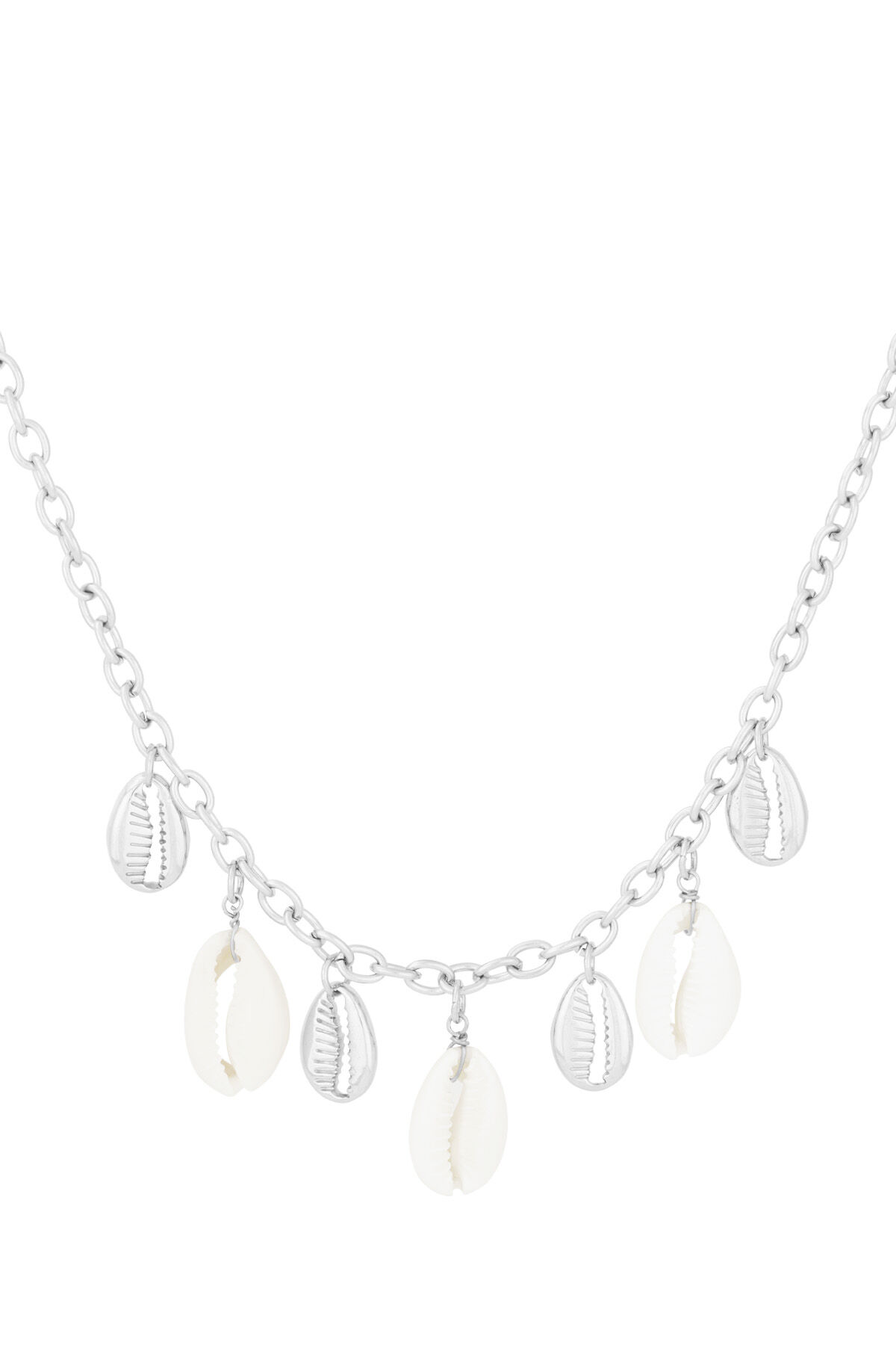 couleur argent Image2