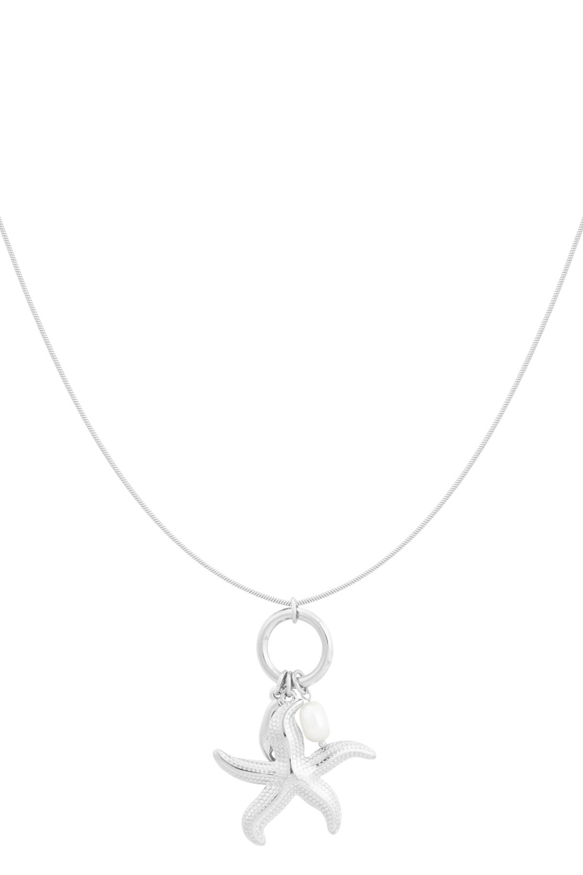 Silver Color Picture2
