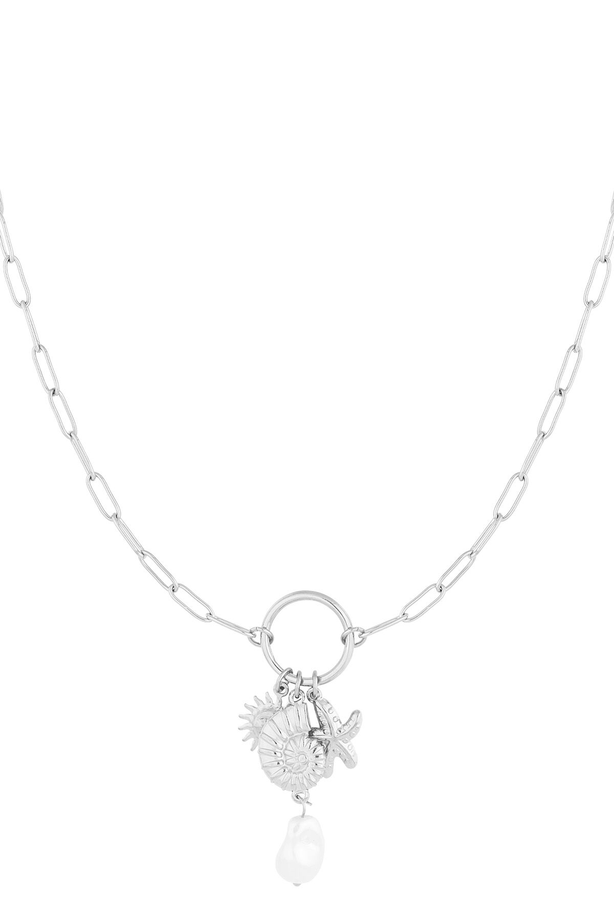 Silver Color Picture2