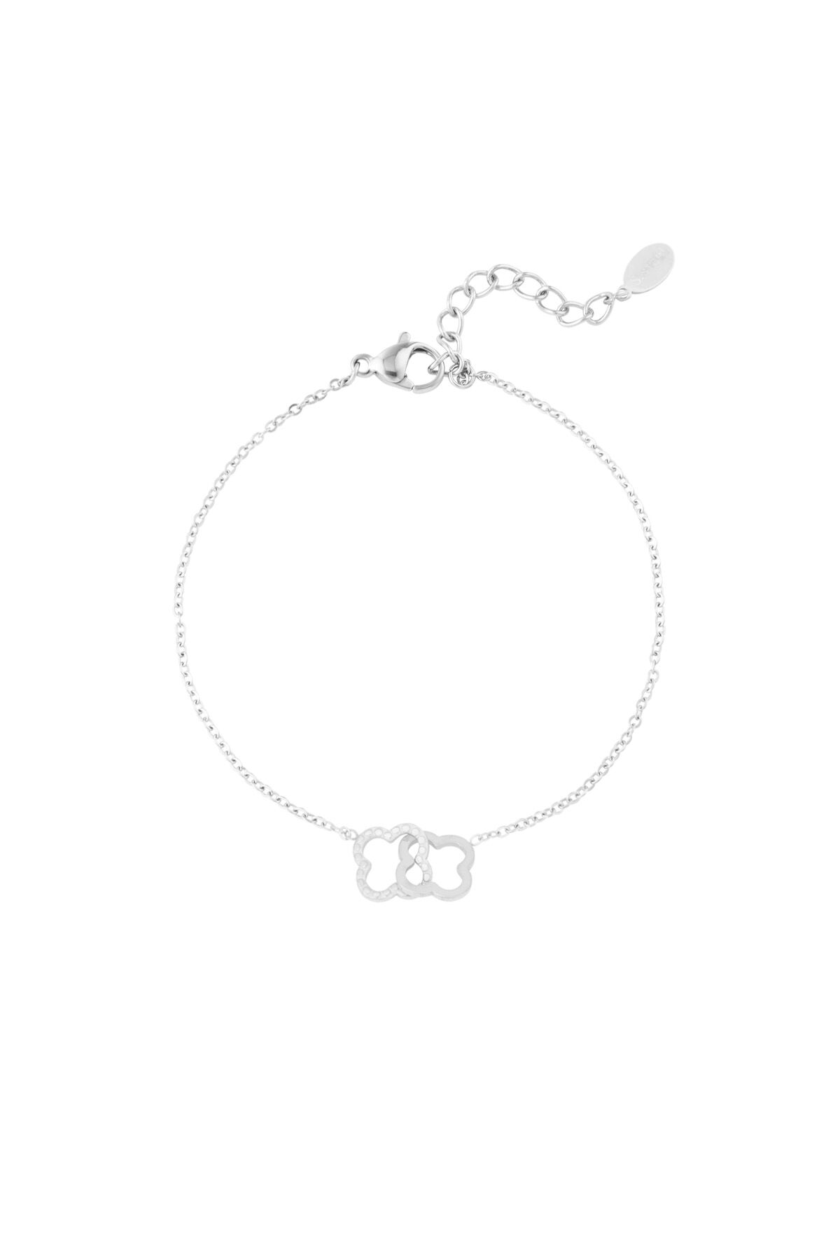 Silver Color Picture2