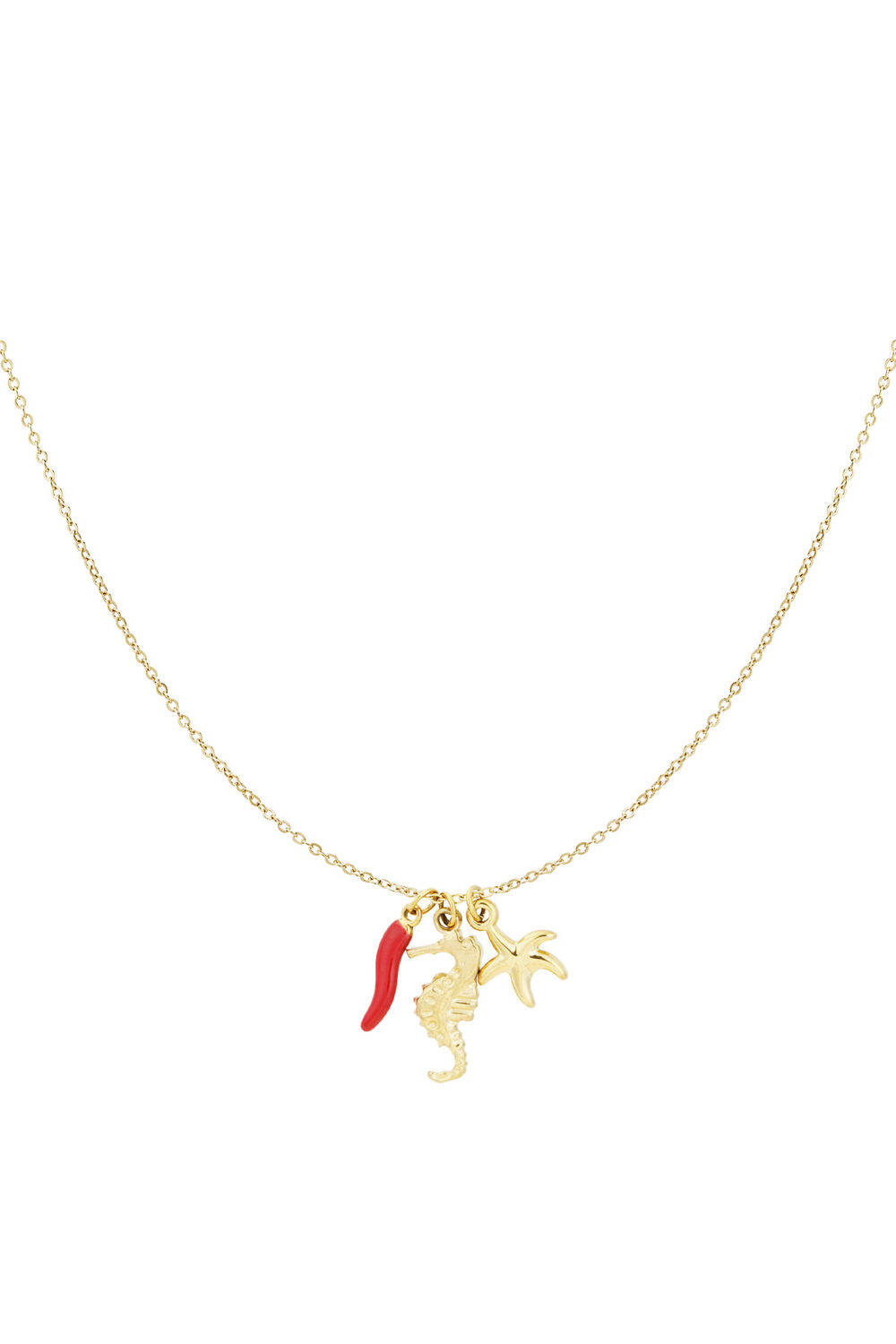 collar seaside