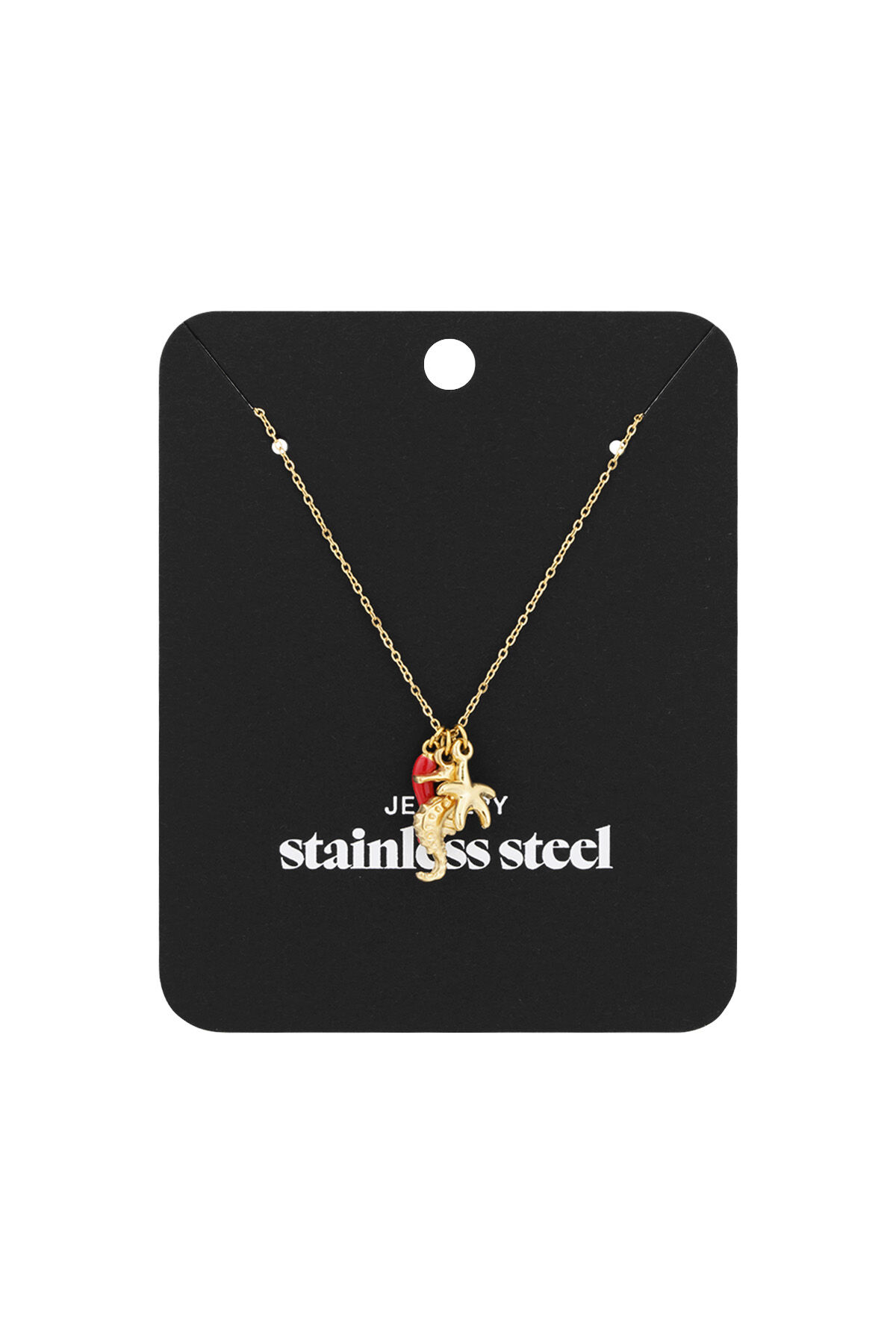collar seaside h5Imagen3