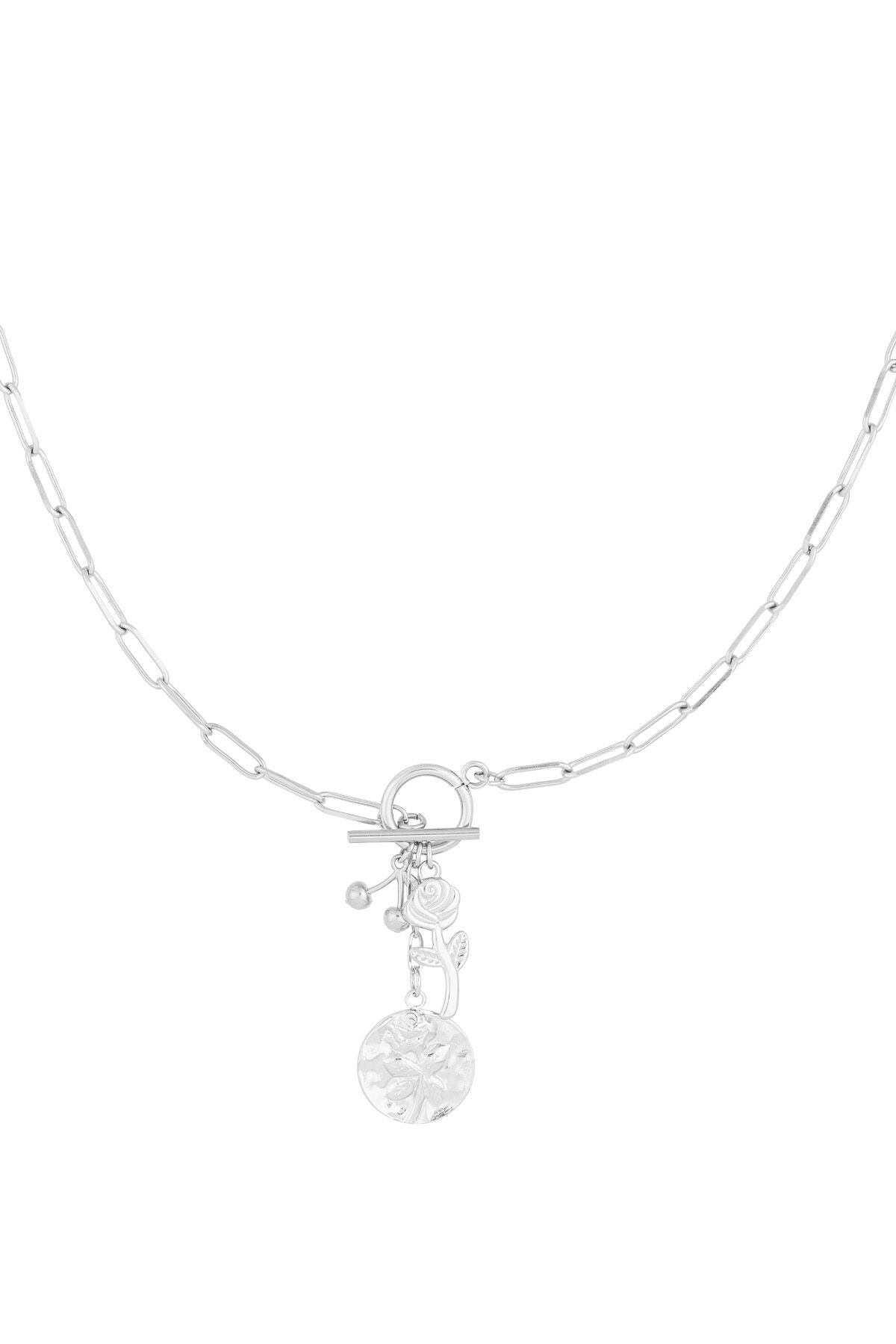 couleur argent Image2