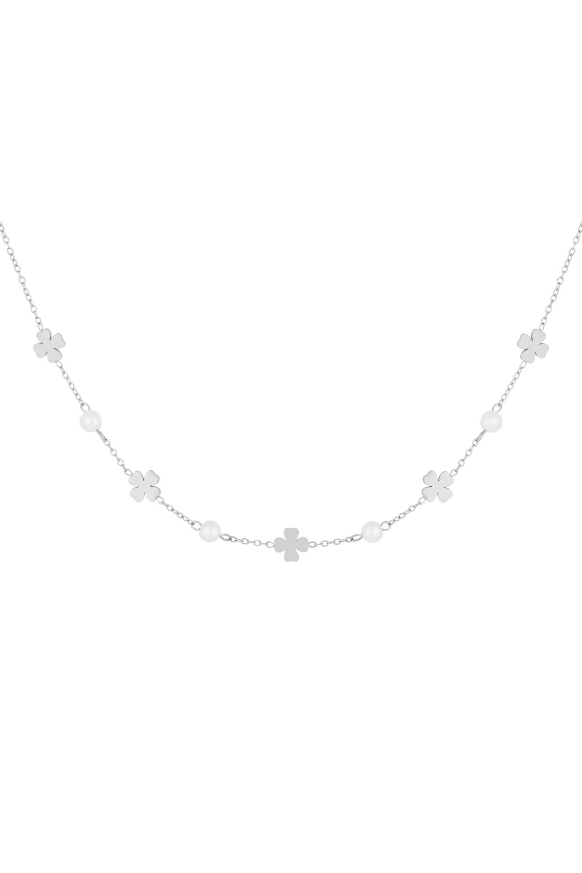 color plata Imagen2
