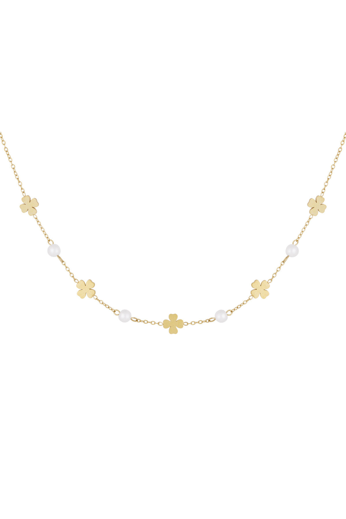 collar get lucky 