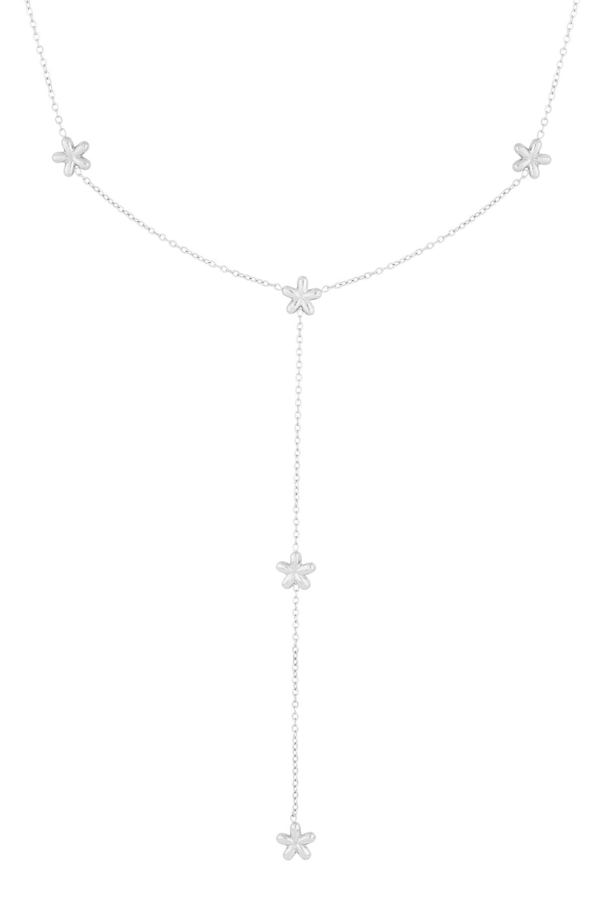 couleur argent Image2