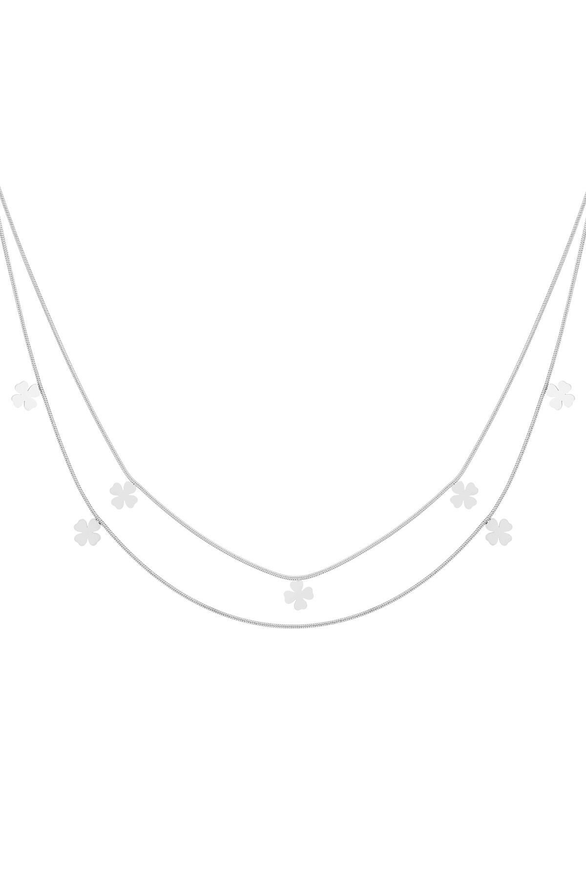 couleur argent Image2
