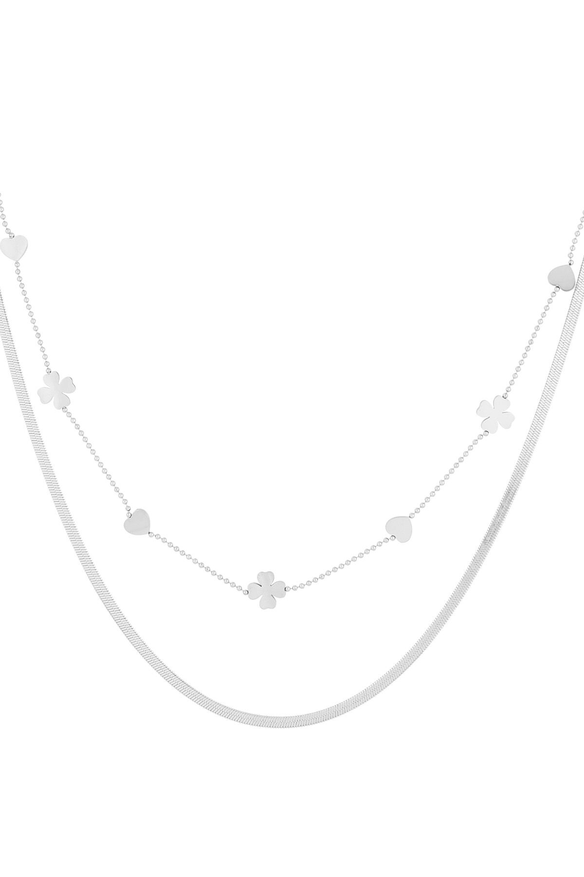 couleur argent Image2