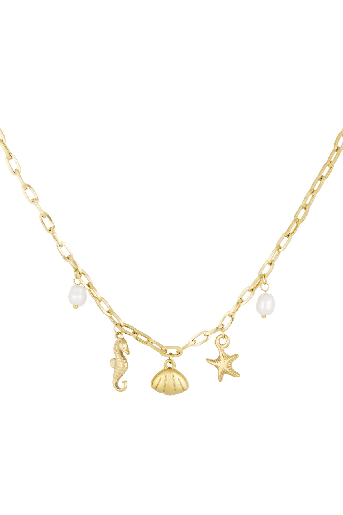 ketting zeepaardje h5 