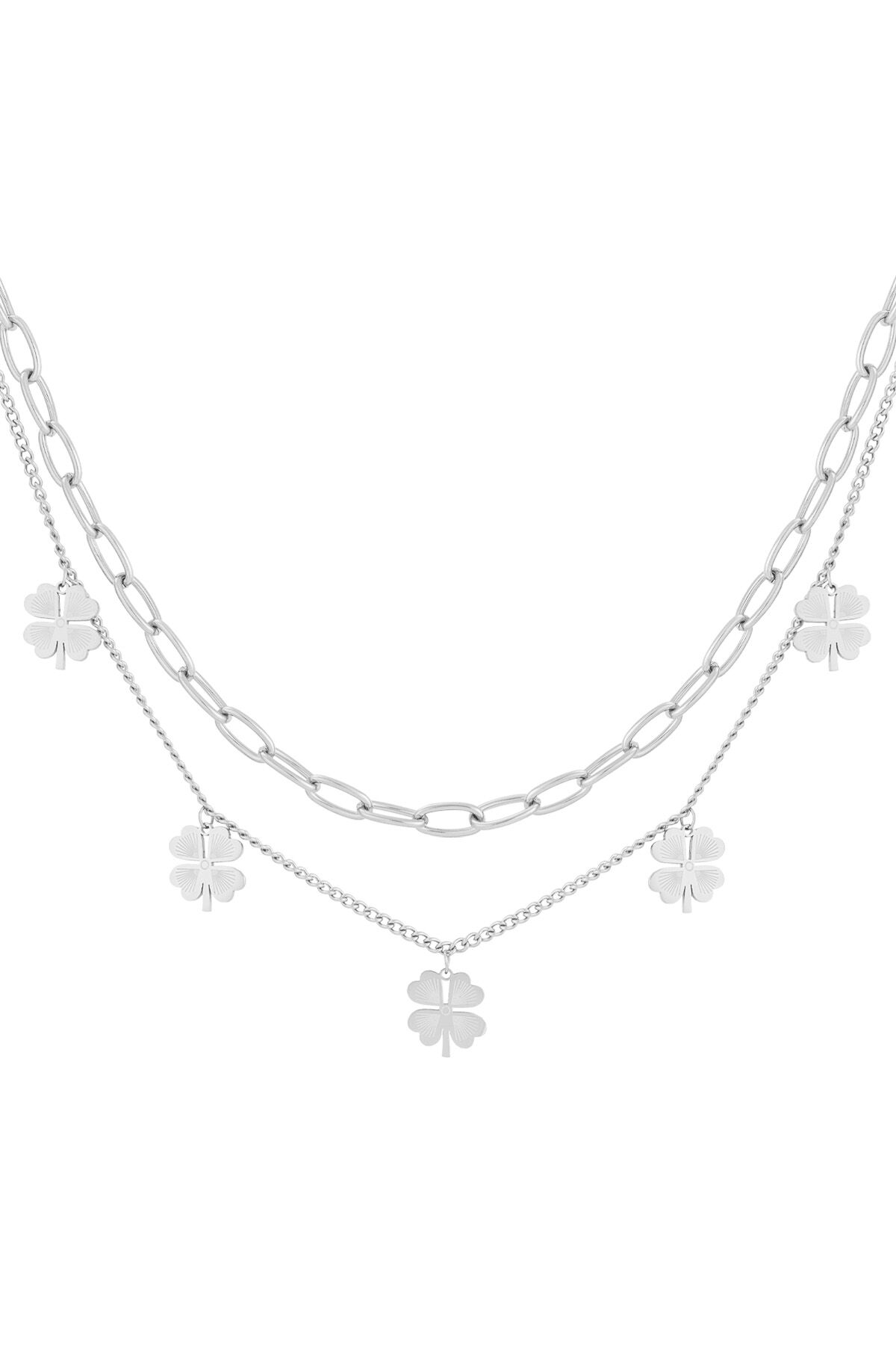 couleur argent Image2