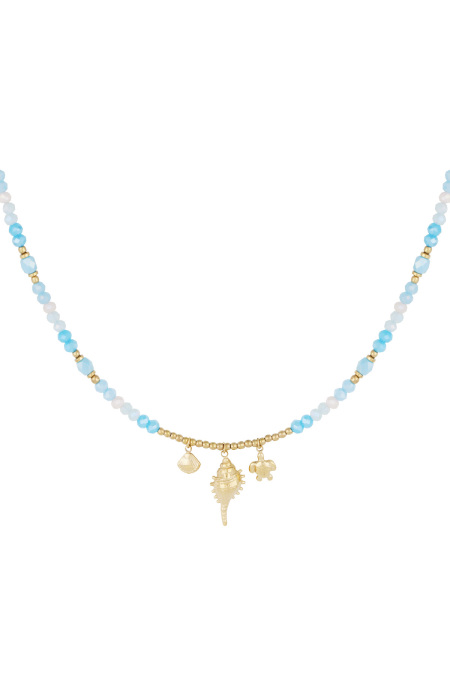 Necklace Shell Show