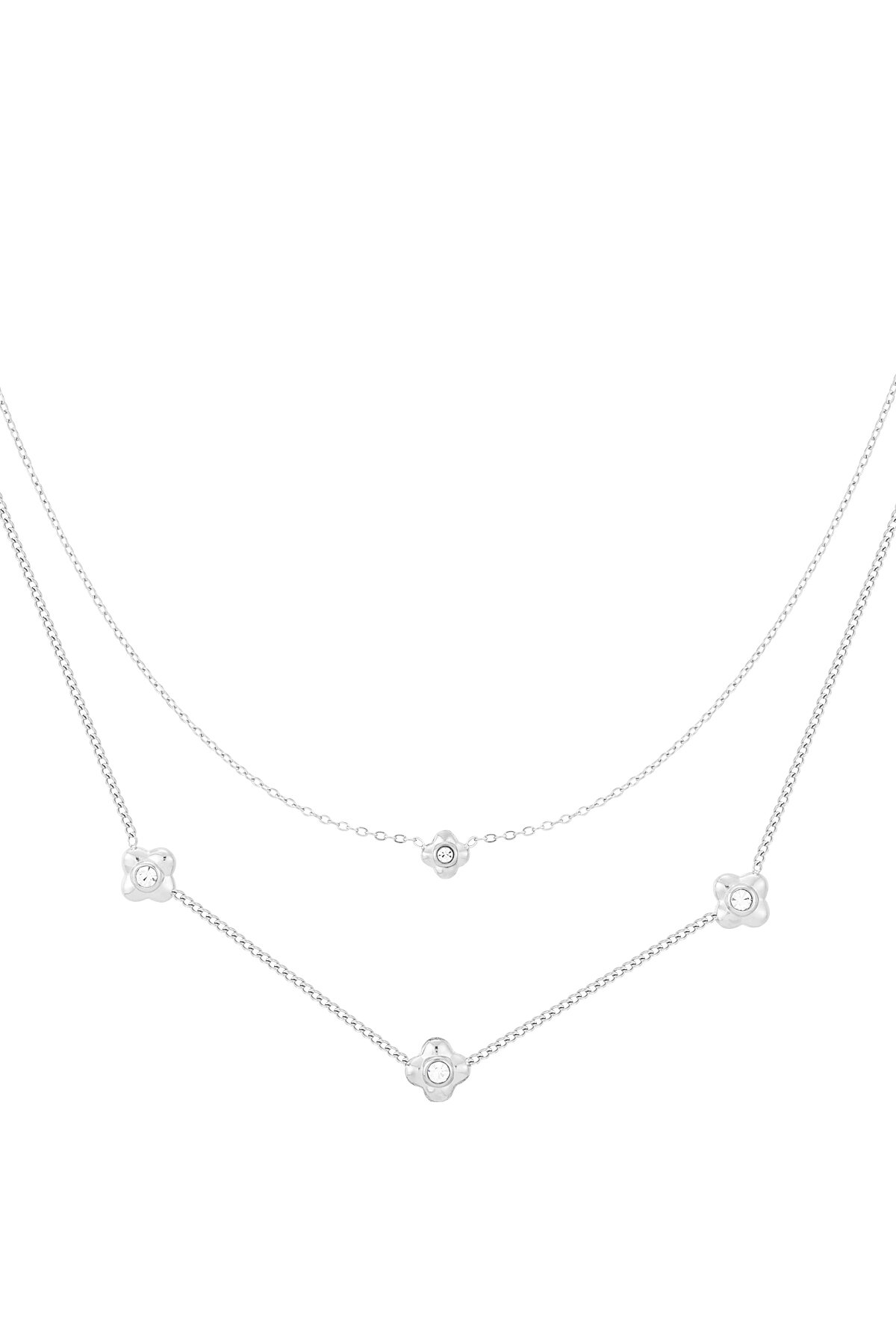 Silver Color Picture2
