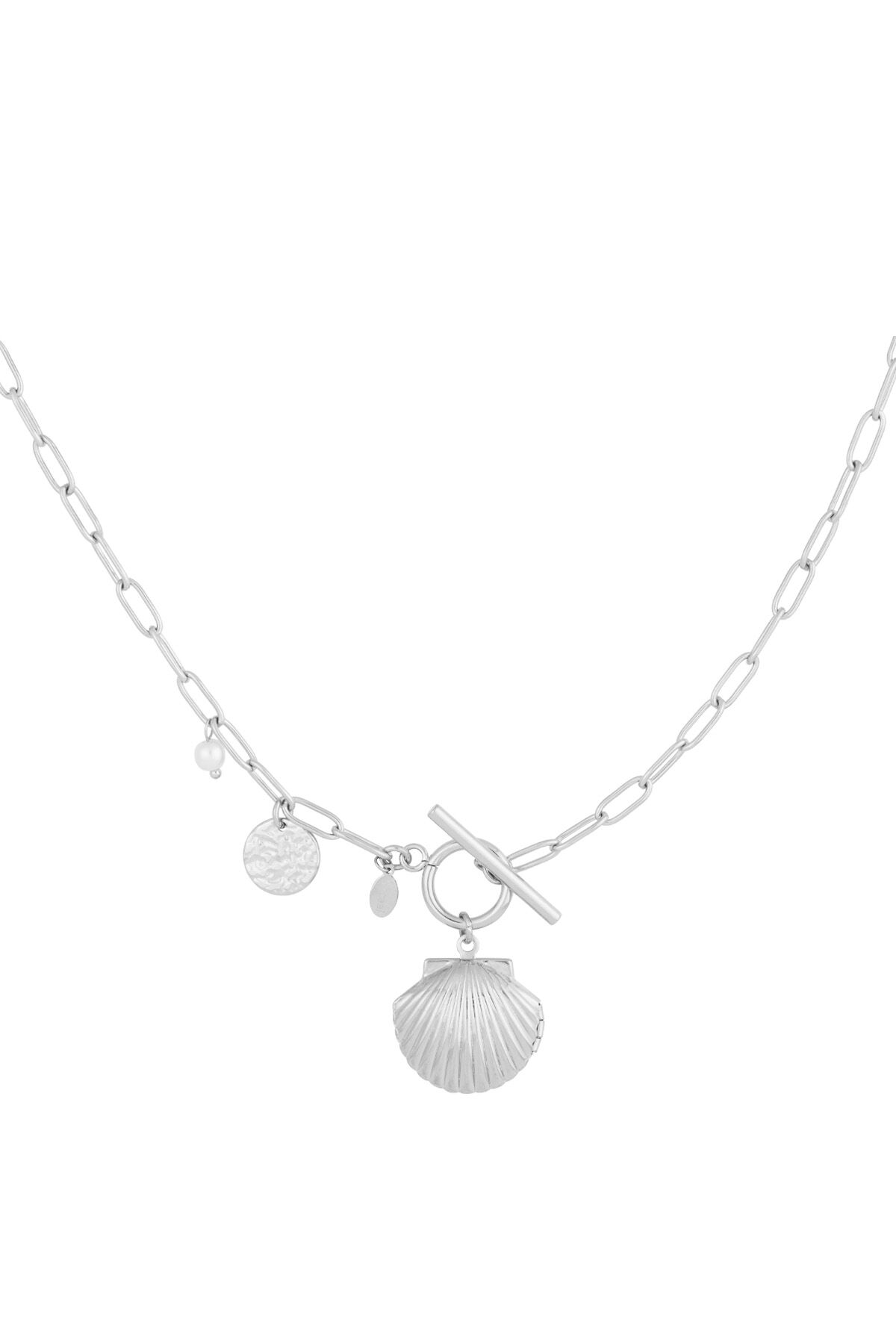 couleur argent Image2