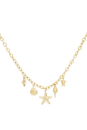 collier brise marine h5
