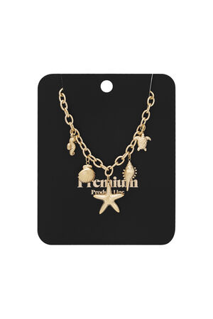 collier brise marine h5 Image3
