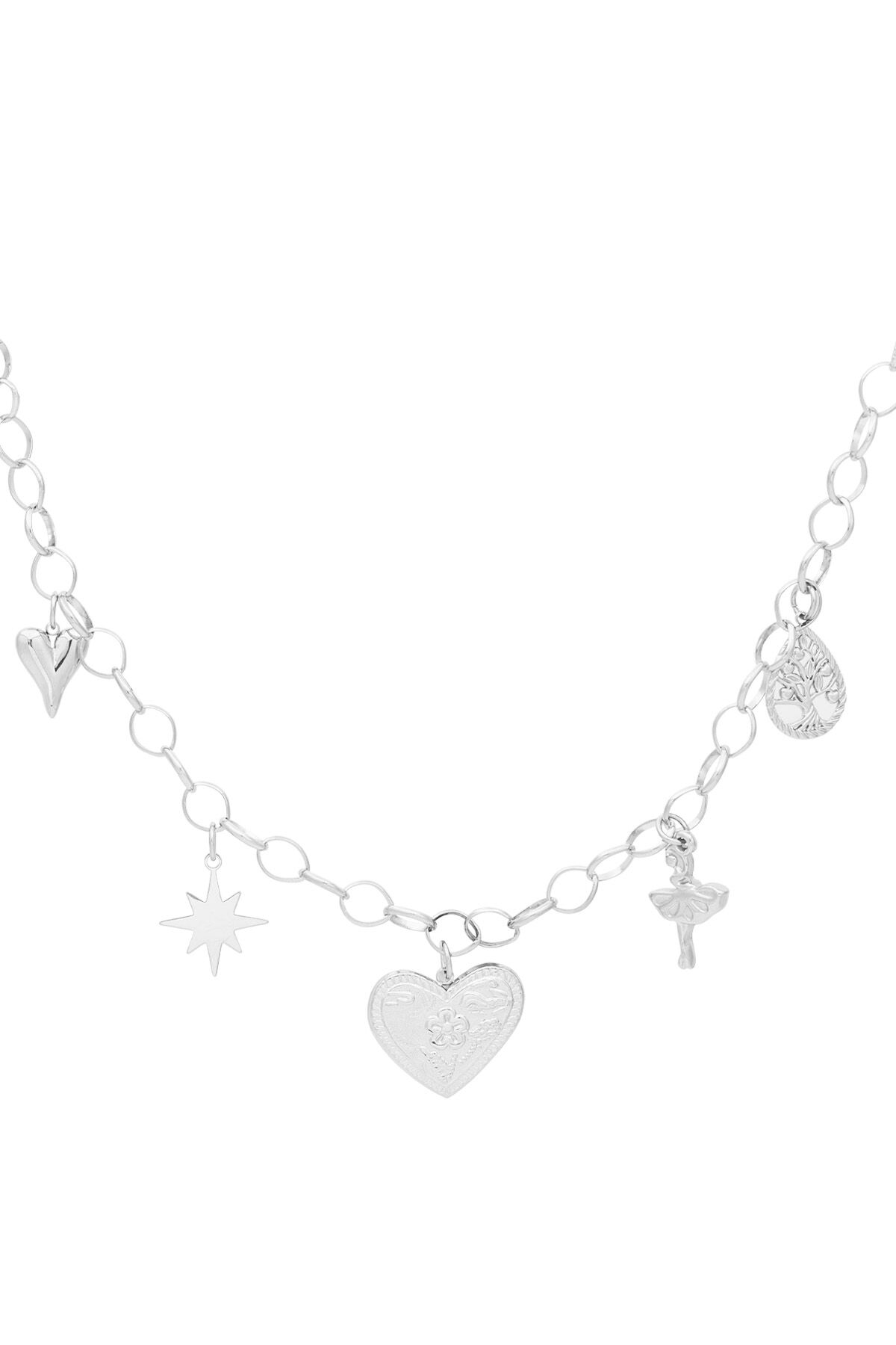 couleur argent Image2