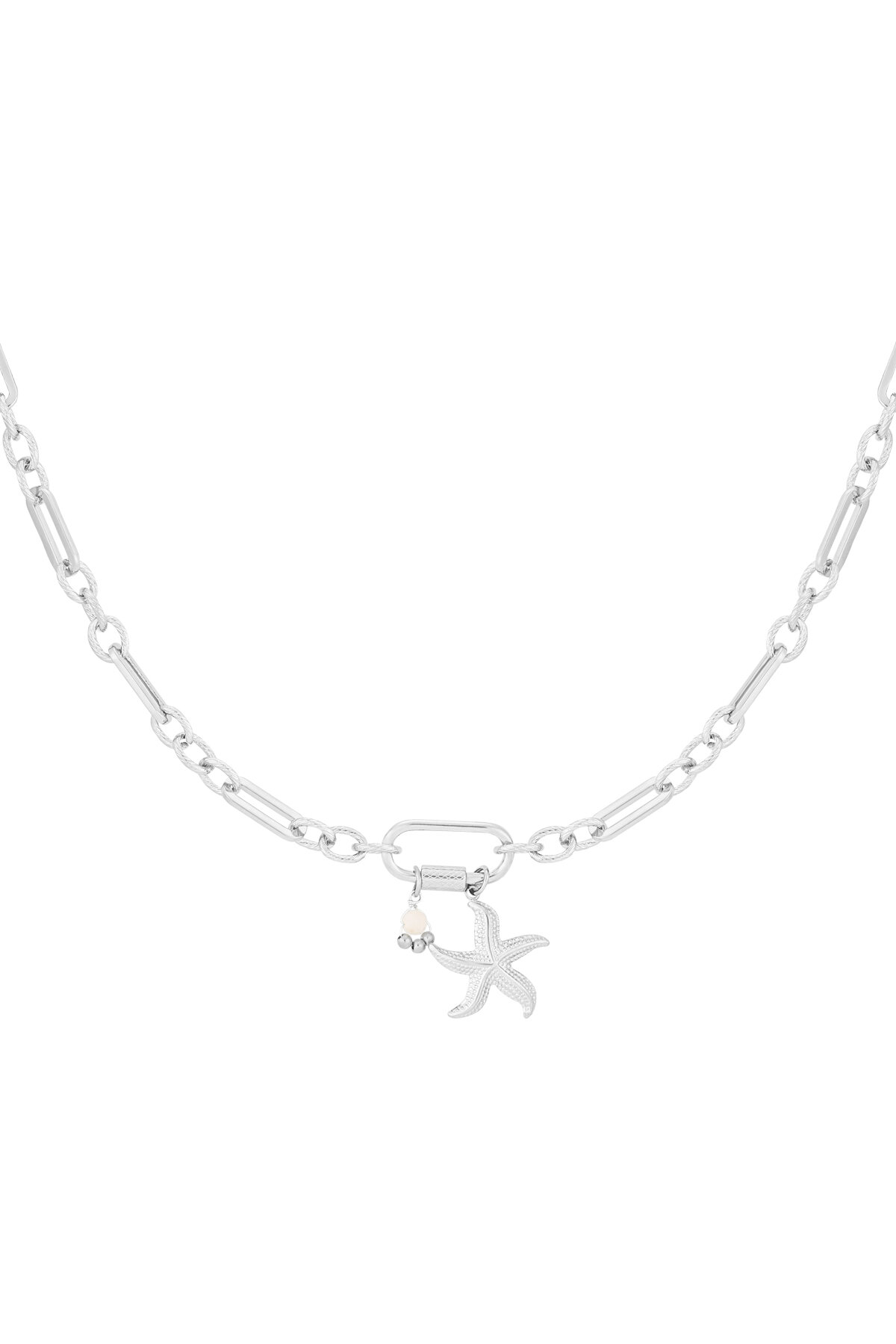 Silver Color Picture2