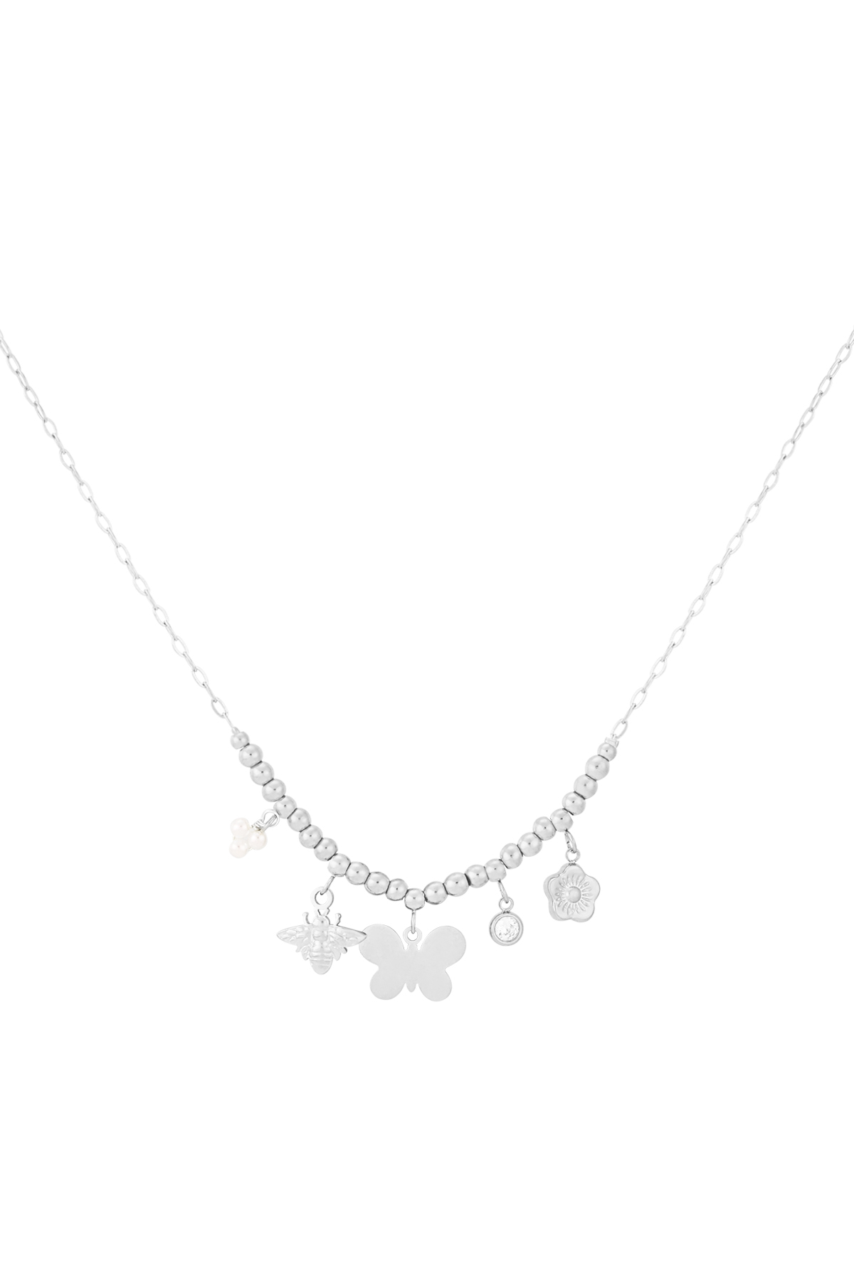 Silver Color Picture2