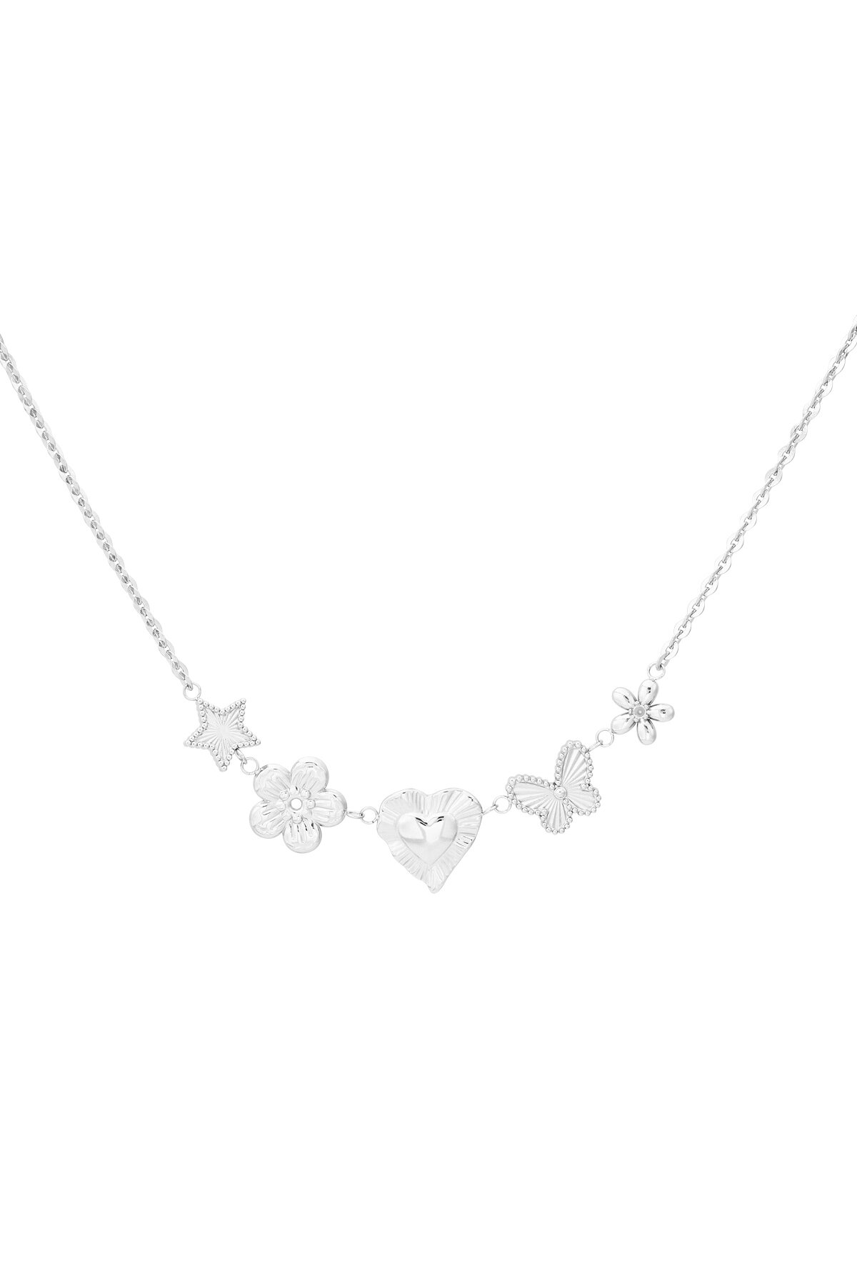 Silver Color Picture2