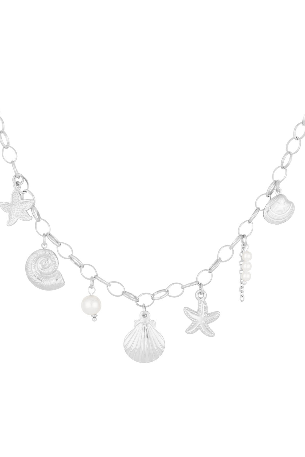 Silver Color Picture2