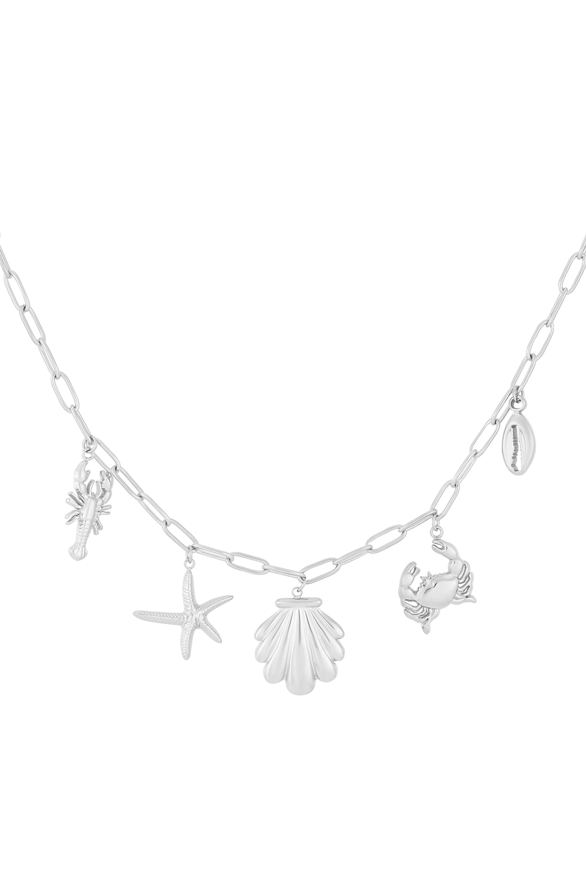 Silver Color Picture2