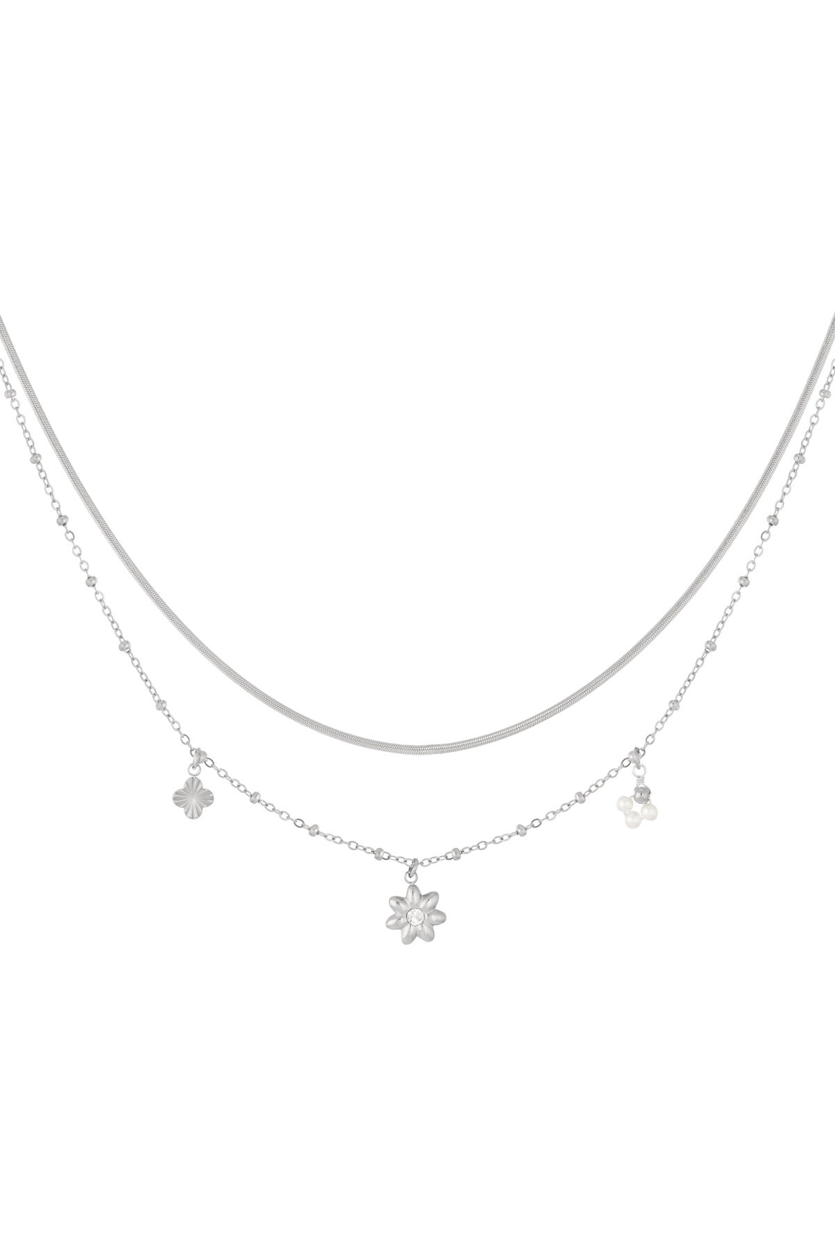 Silver Color Picture2