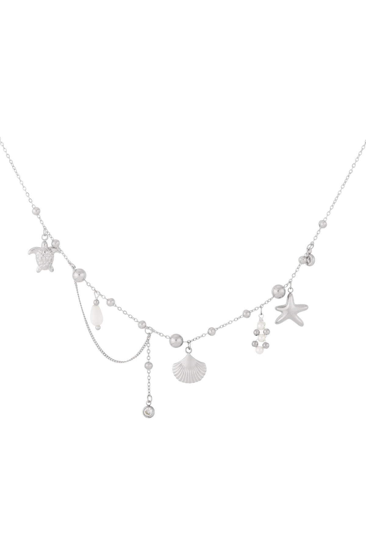 Silver Color Picture2