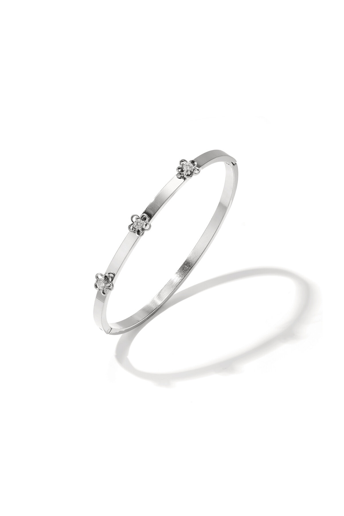 Silver Color Picture2
