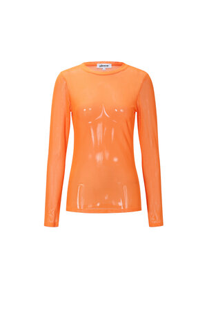 Mesh Longsleeve Top h5