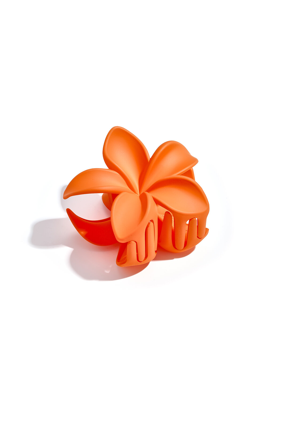 naranja Imagen7