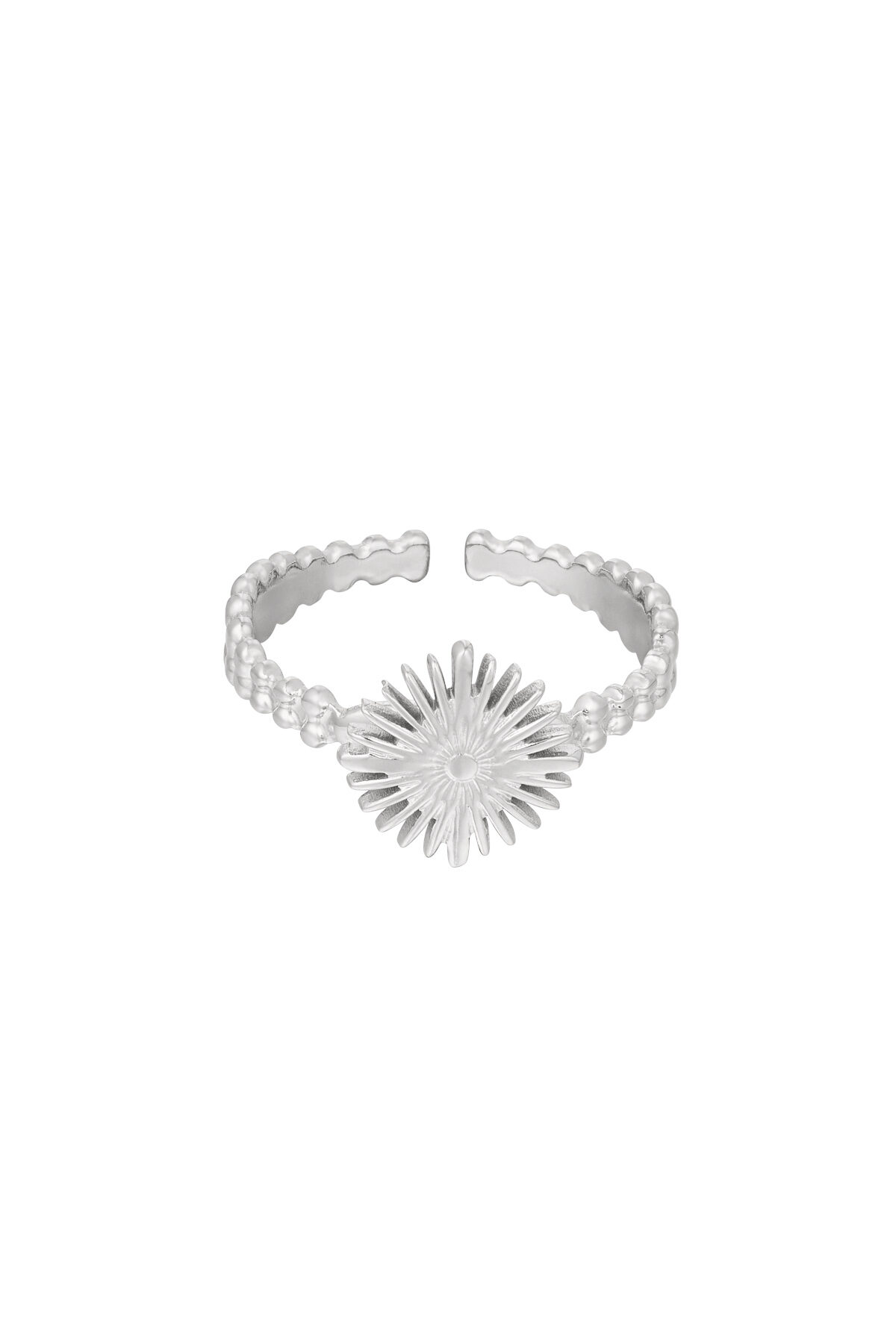 color plata/Talla única 