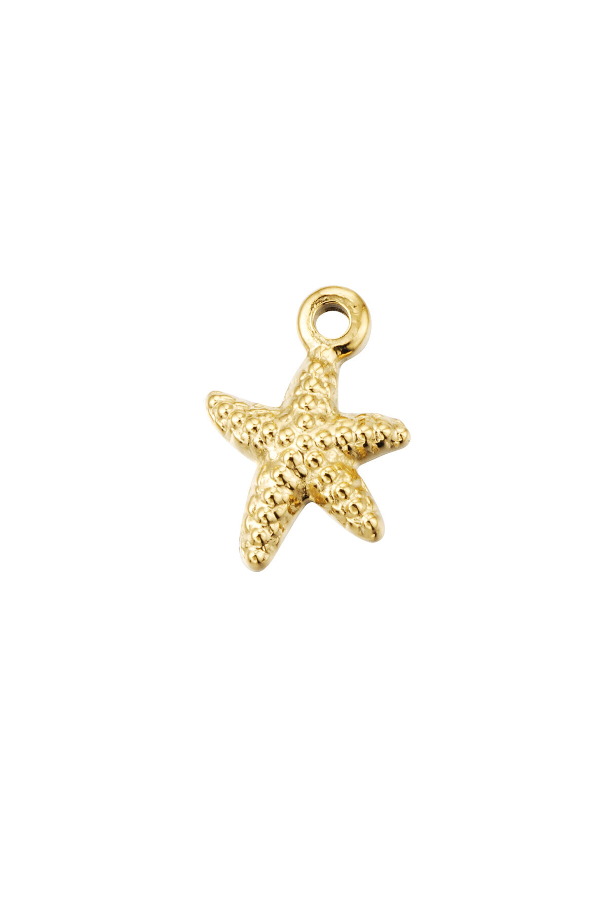 Charm estrella con estampado - dorado h5 