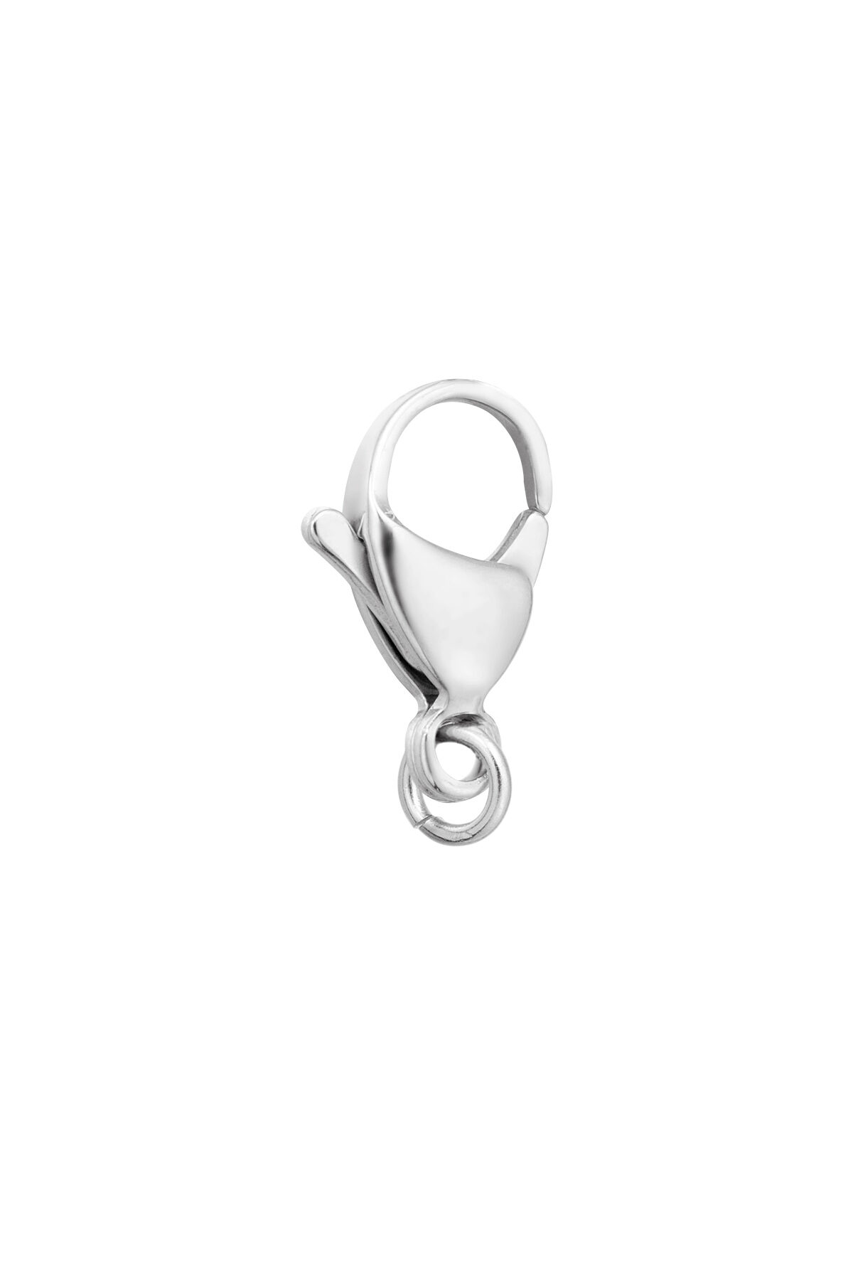 color plata Imagen2
