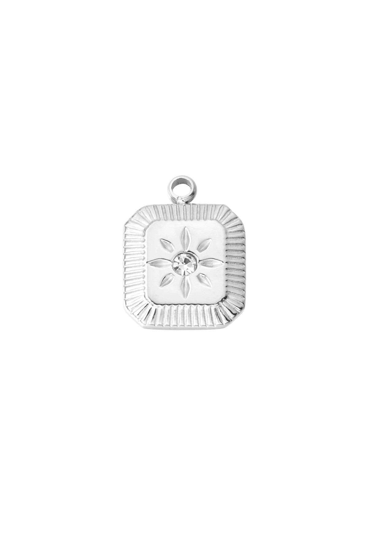 couleur argent Image2