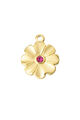Rose Image2