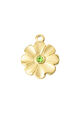 Vert Image3