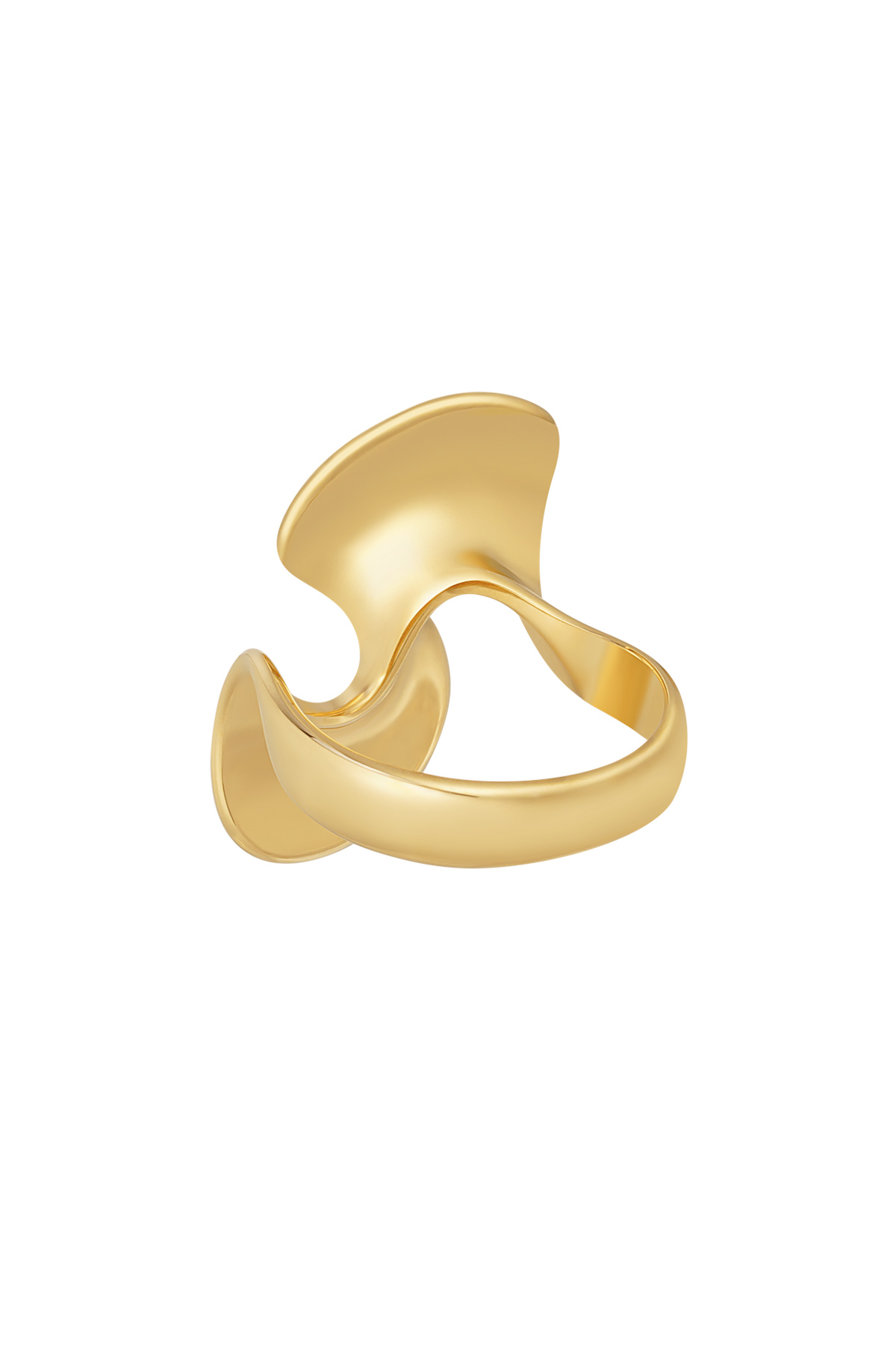 torsione dell'anello Immagine3