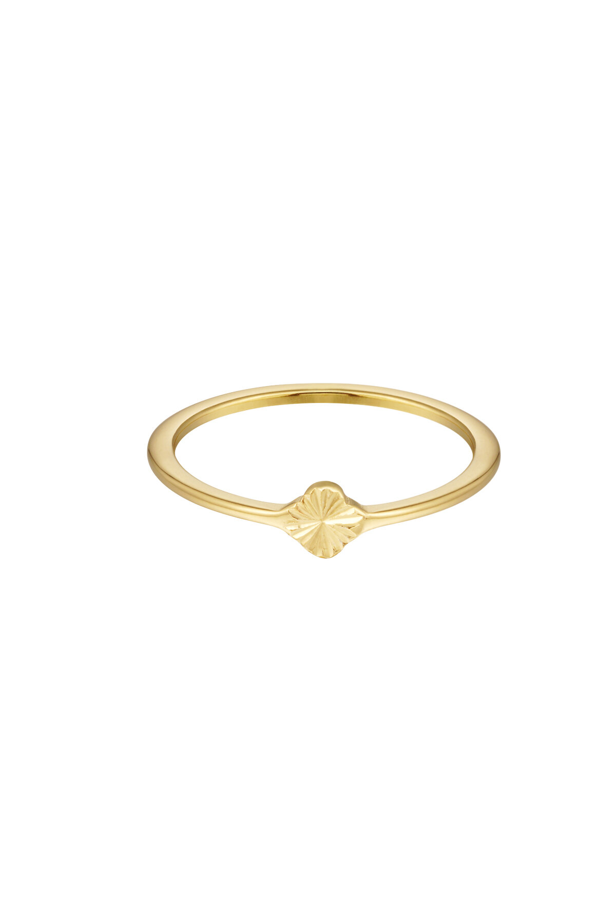 Goldfarbe/16 Bild3