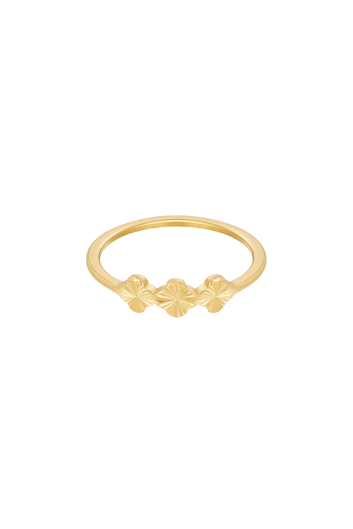 Goldfarbe/16 