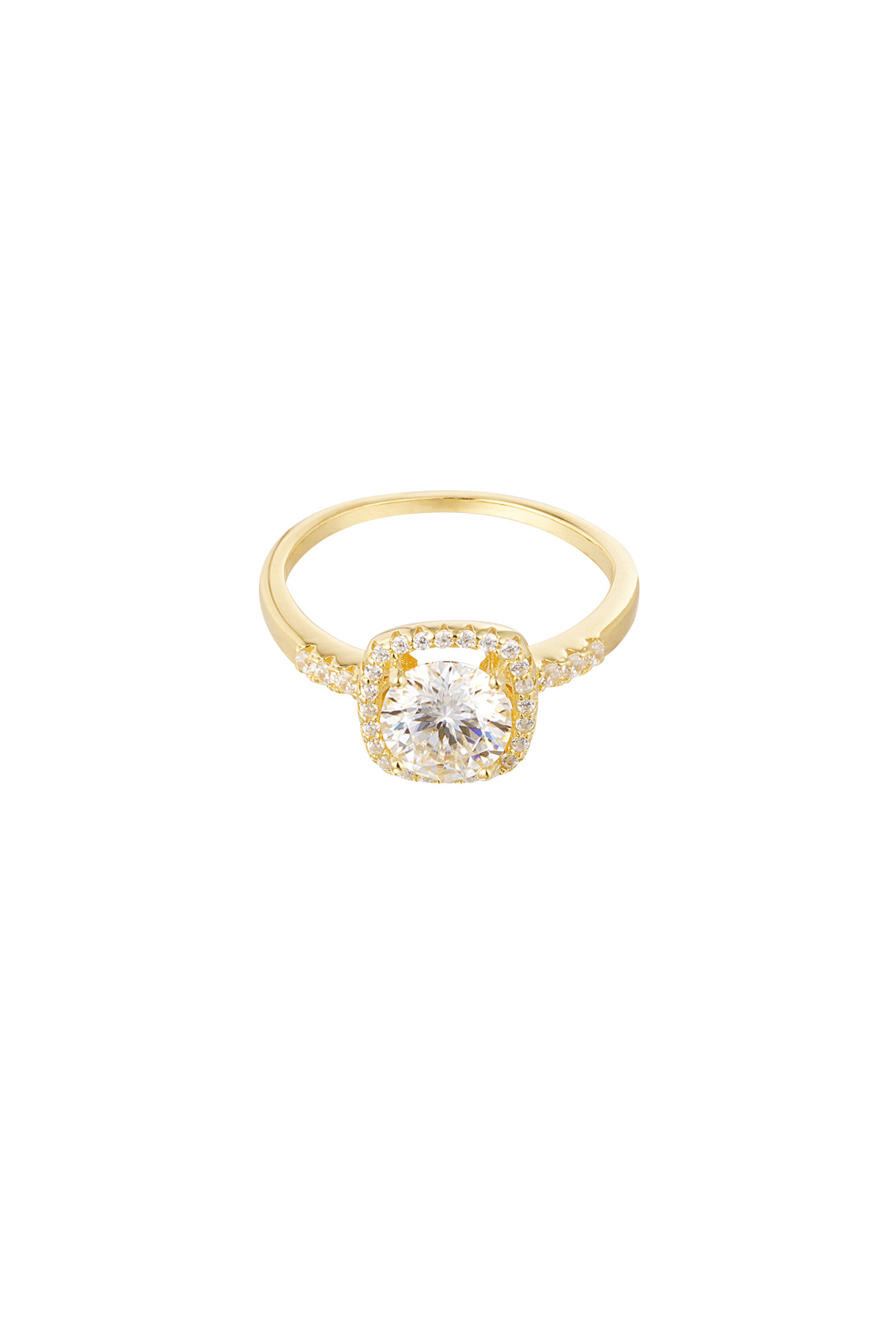 Colore oro/16 Immagine4