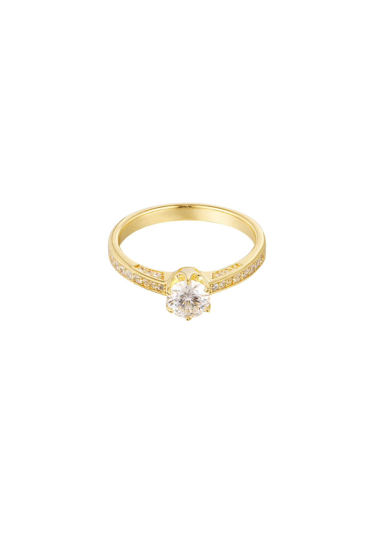 Gold Color/16 
