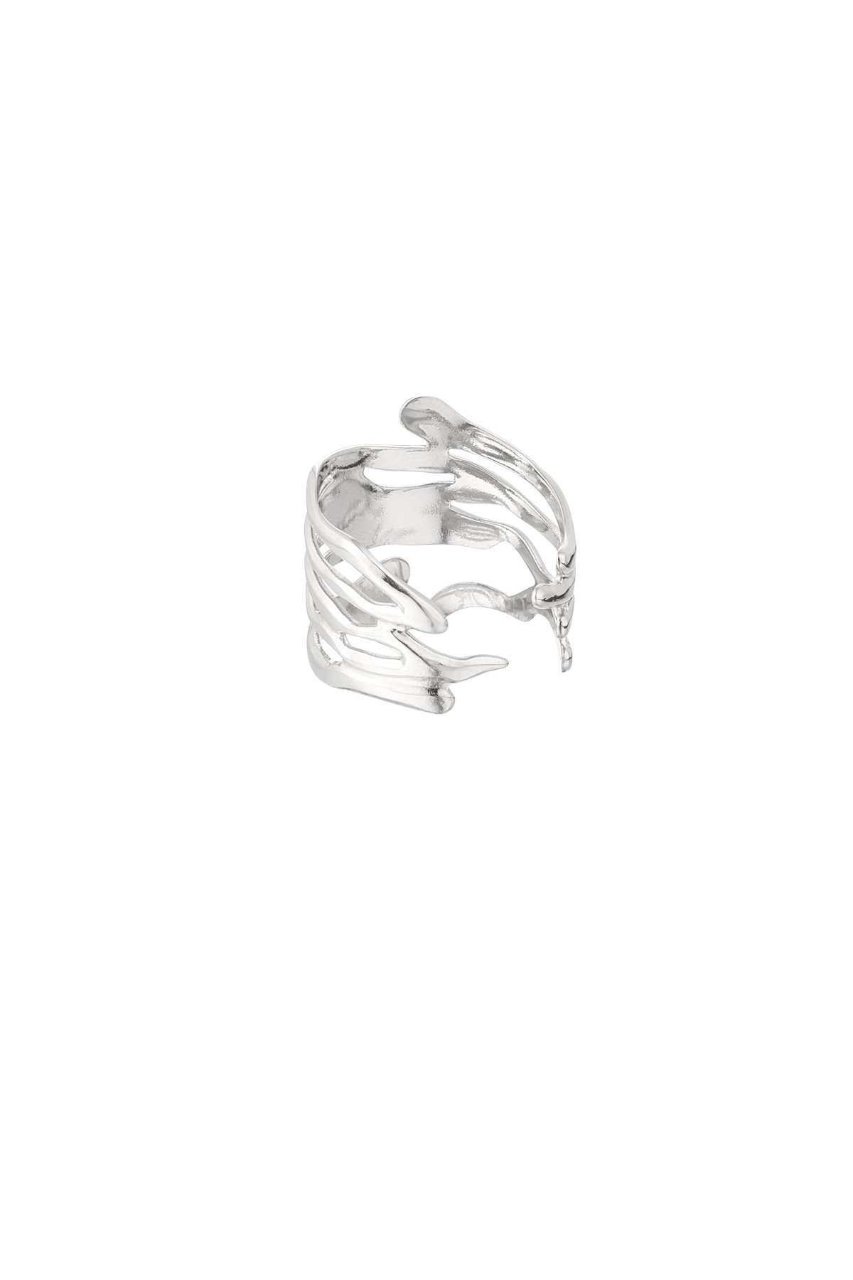 Anillo hojas estéticas - plata. Imagen3
