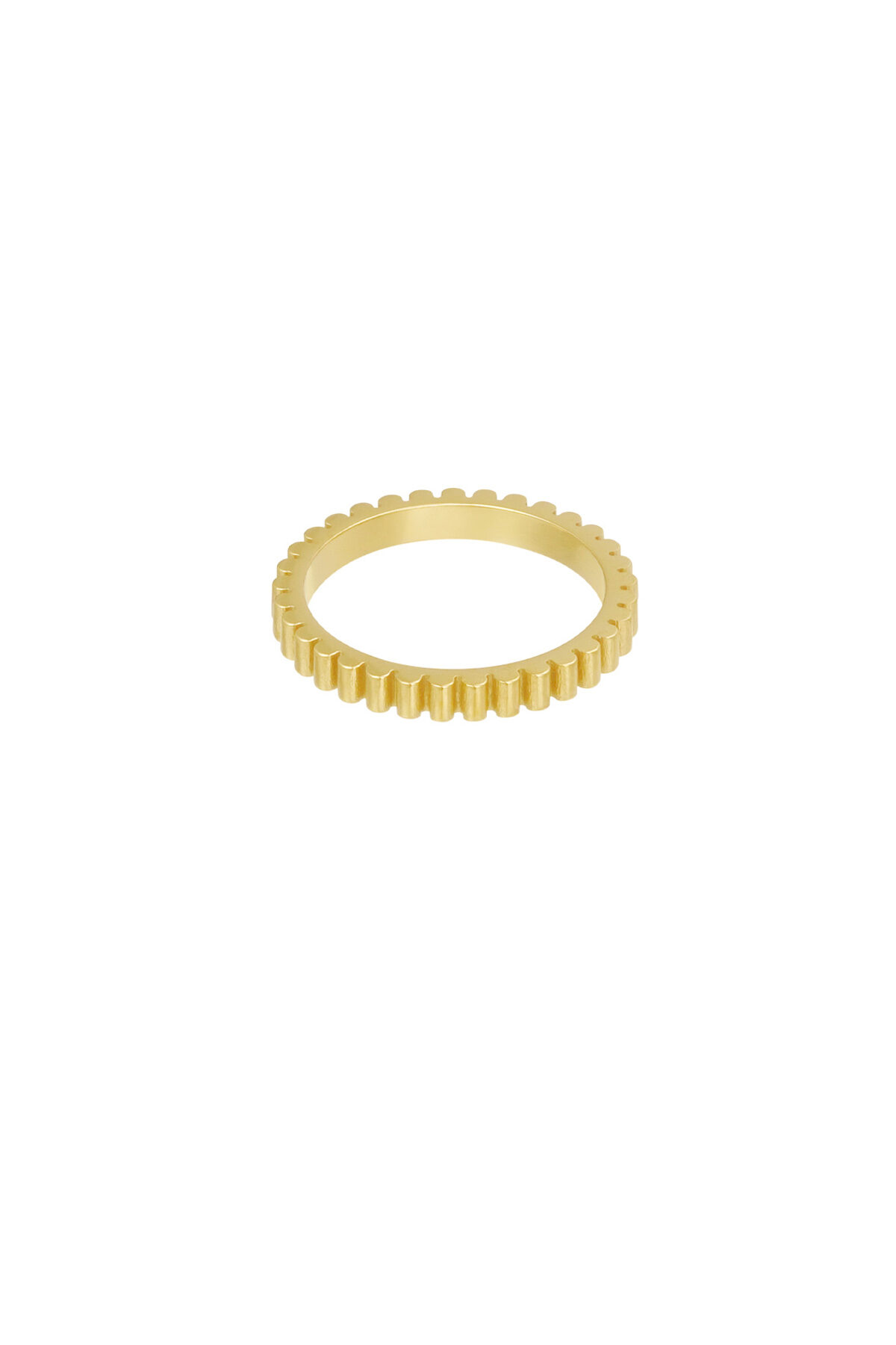 anello a coste h5 