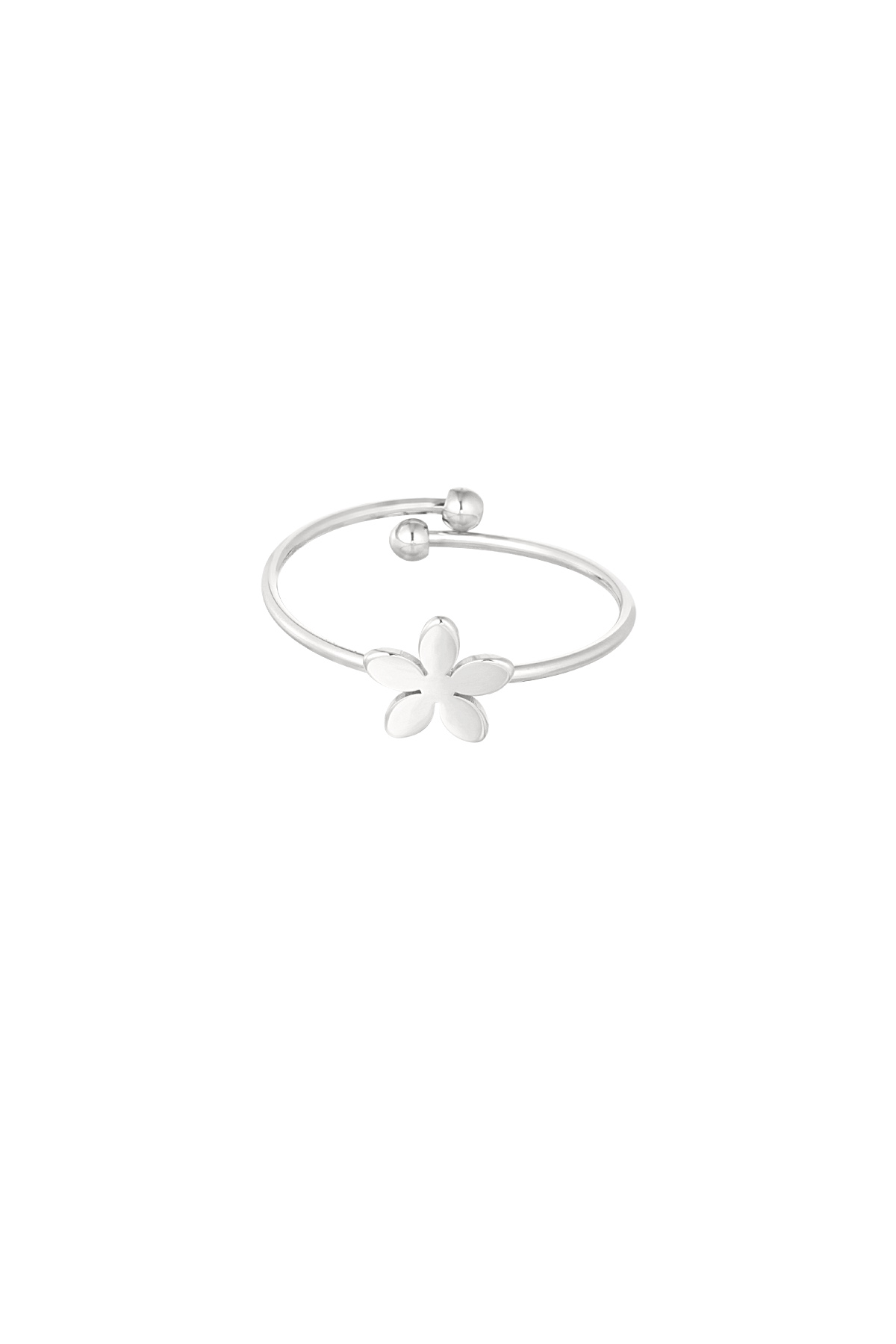 Silver Color/One Size Picture2
