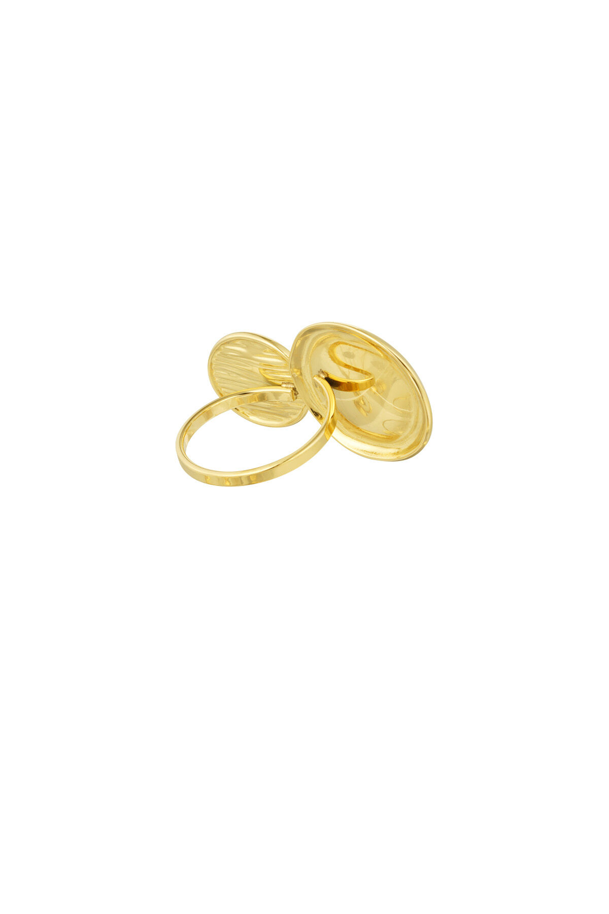 Ringkreise groß h5 Bild3