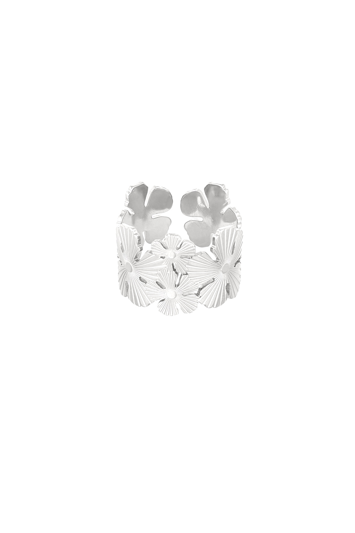 color plata/Talla única Imagen2