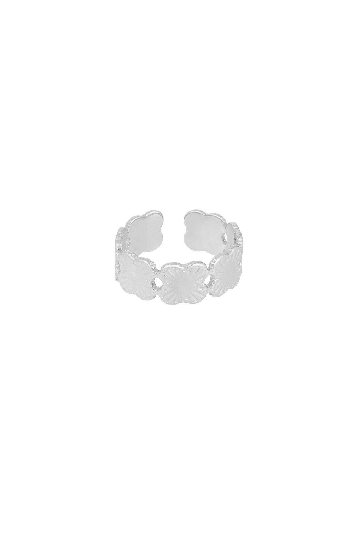Silver Color/One Size Picture2