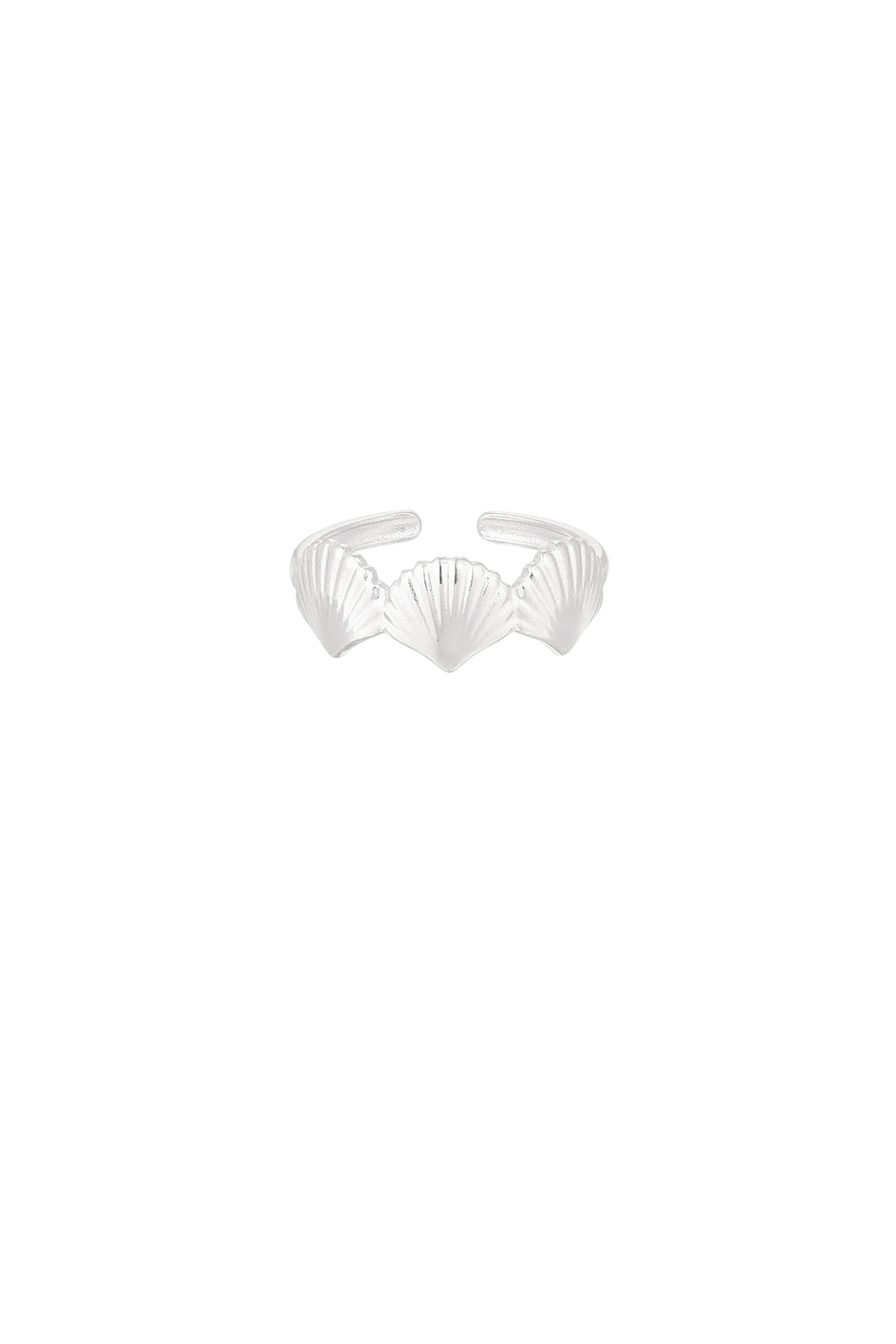 anello amante delle conchiglie 2